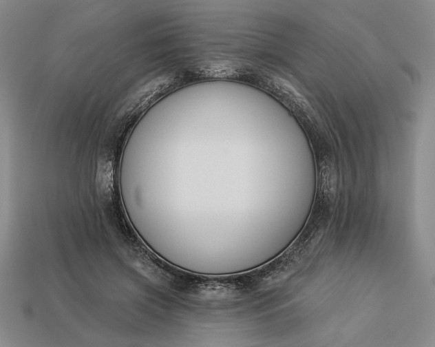 X0000113360549200909291032