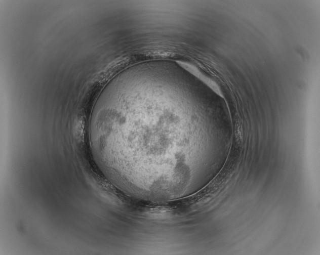 X0000113360551200909291032