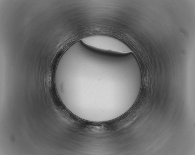 X0000113360552200909291032