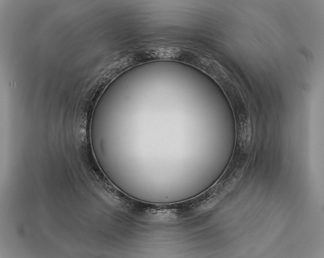 X0000113360553200909291032