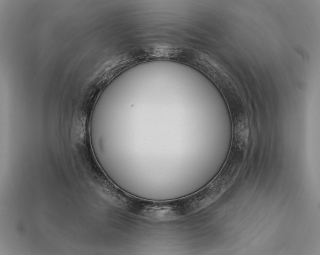 X0000113360554200909291032