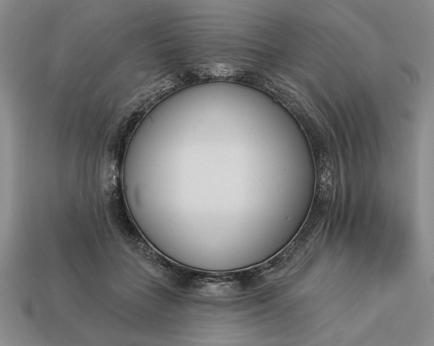 X0000113360555200909291032