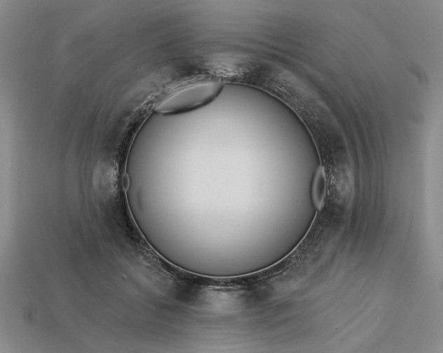 X0000113360556200909291032