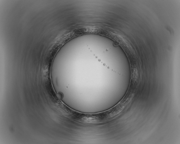 X0000113360557200909291032