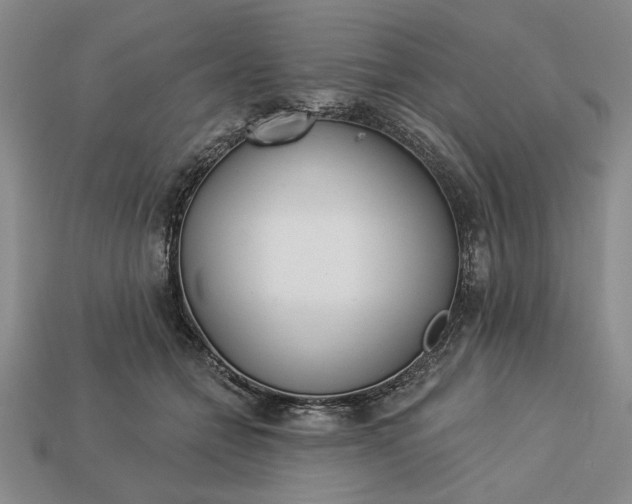 X0000113360558200909291032