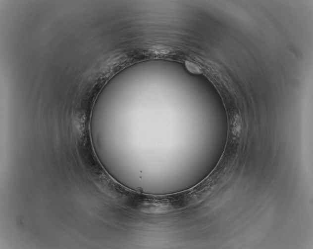 X0000113360559200909291032