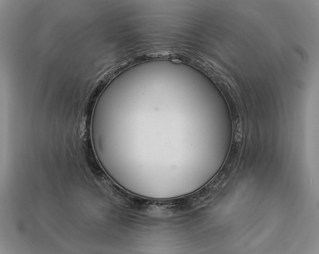 X0000113360560200909291032