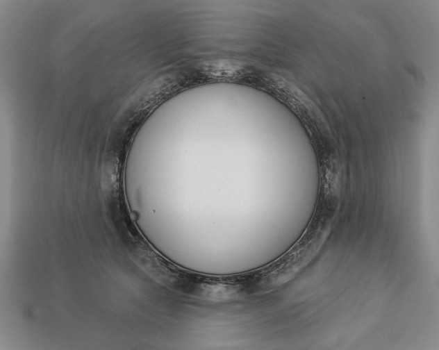 X0000113360561200909291032