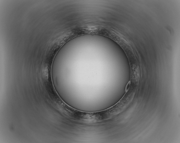 X0000113360562200909291032