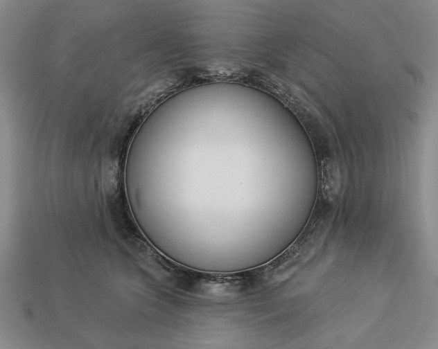 X0000113360563200909291032