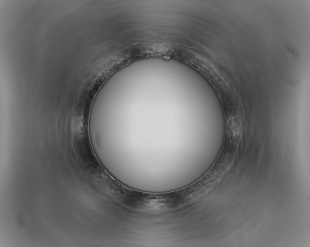 X0000113360564200909291032