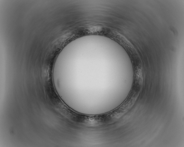 X0000113360565200909291032