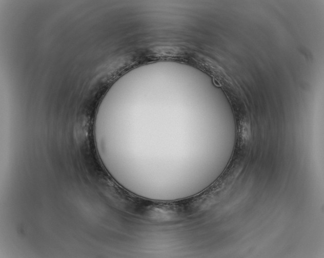 X0000113360567200909291032