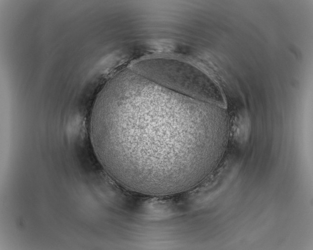 X0000113360568200909291032