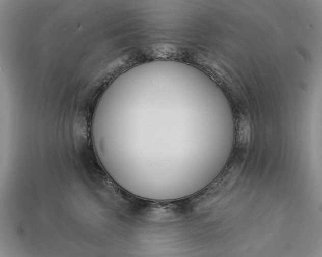 X0000113360569200909291032