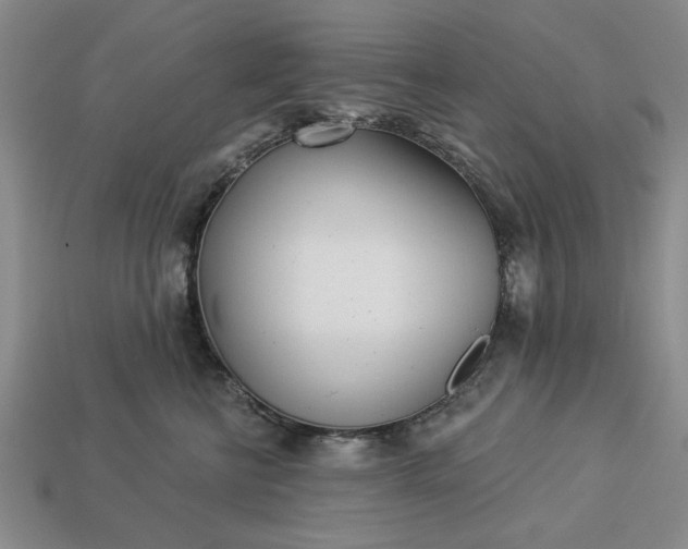 X0000113360570200909291032