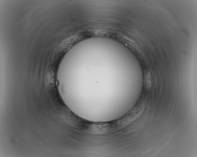 X0000113360571200909291032