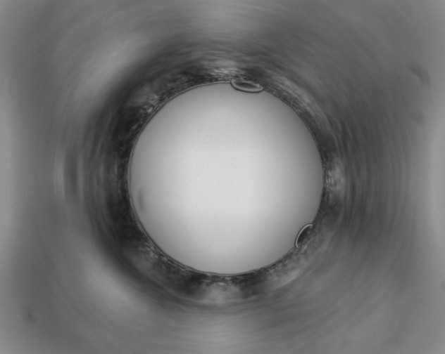 X0000113360572200909291032