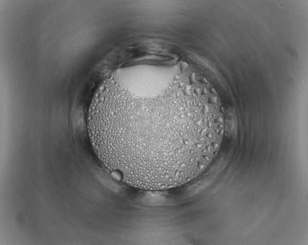 X0000113360573200909291032