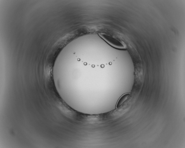 X0000113360574200909291032