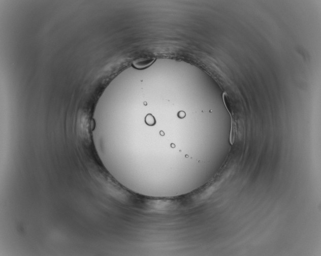 X0000113360575200909291032