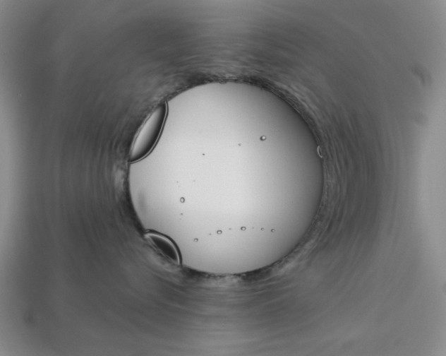 X0000113360576200909291032