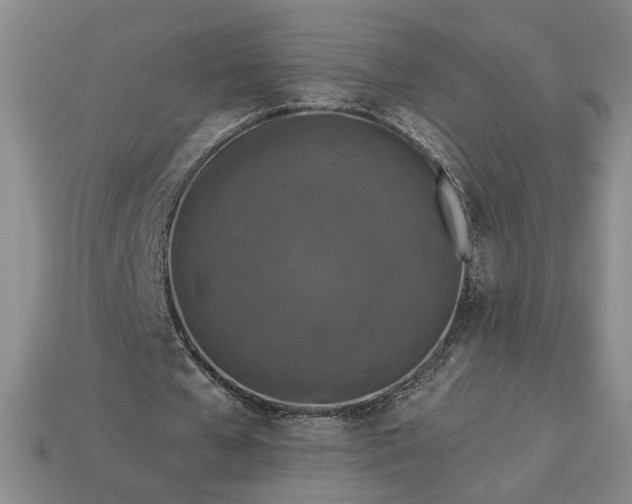 X0000113360577200909291032