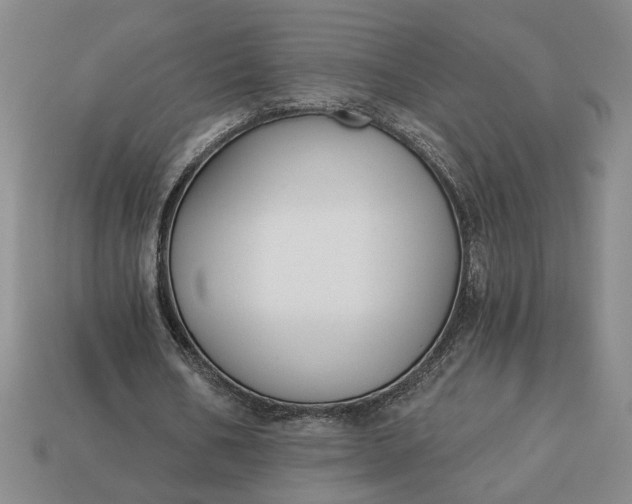 X0000113360578200909291032