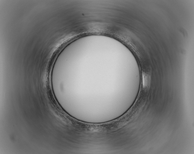 X0000113360579200909291032