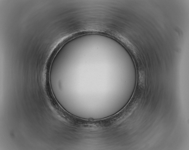 X0000113360580200909291032