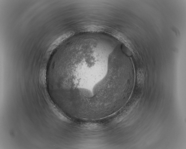 X0000113360581200909291032