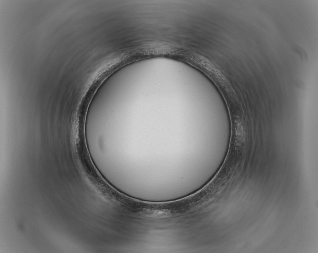 X0000113360582200909291032