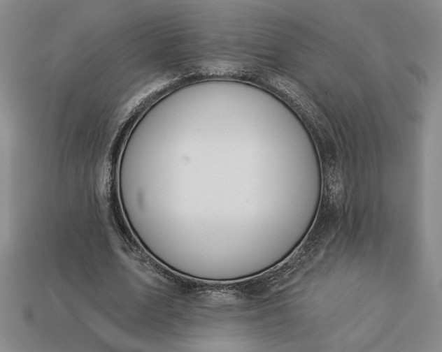 X0000113360583200909291032