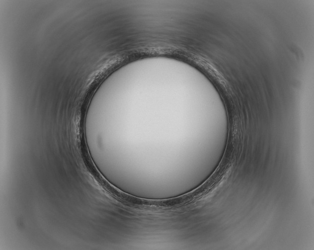 X0000113360585200909291032