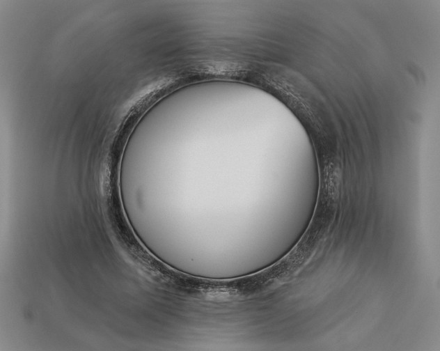 X0000113360587200909291032