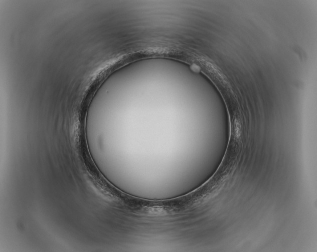 X0000113360588200909291032