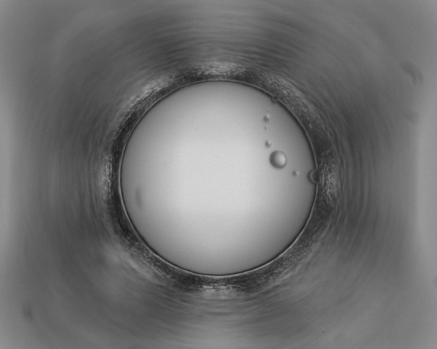 X0000113360591200909291032