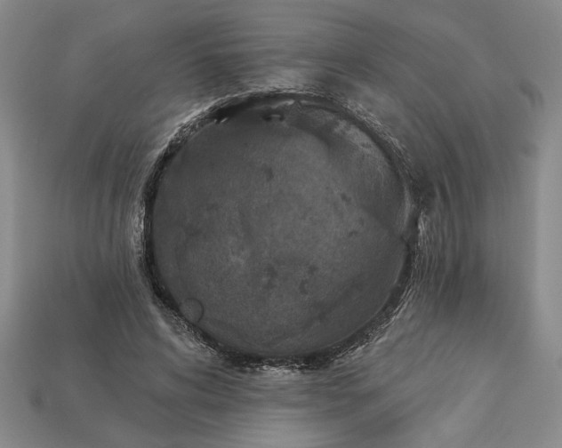 X0000113360592200909291032