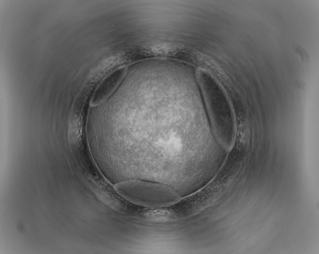 X0000113360593200909291031