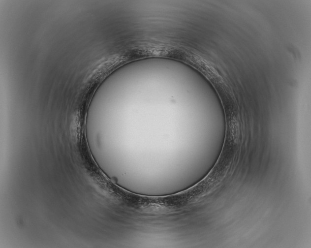 X0000113360594200909291031