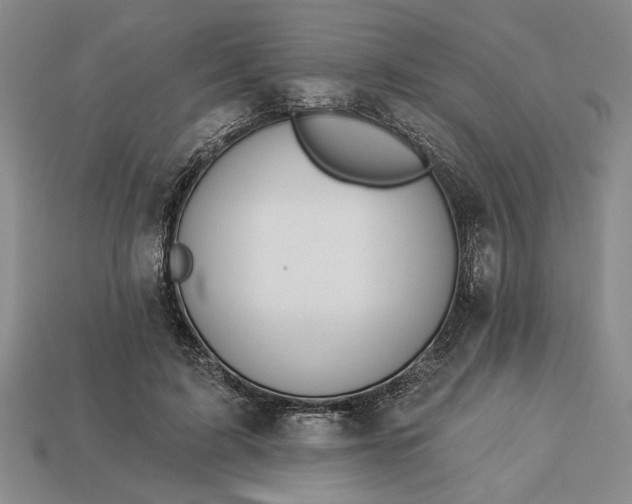 X0000113360595200909291031