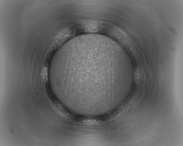 X0000113360598200909291031