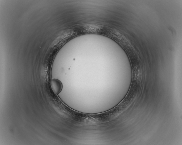 X0000113360599200909291031