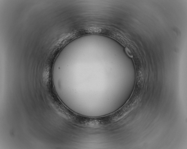 X0000113360600200909291031