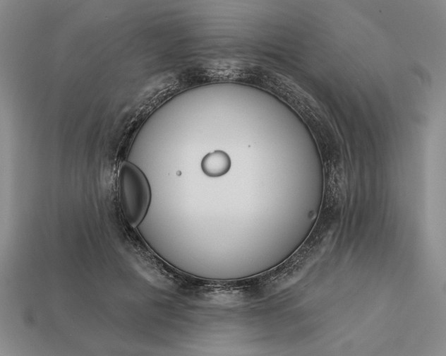 X0000113360601200909291031