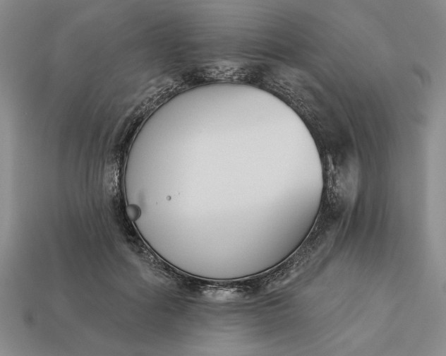 X0000113360602200909291031