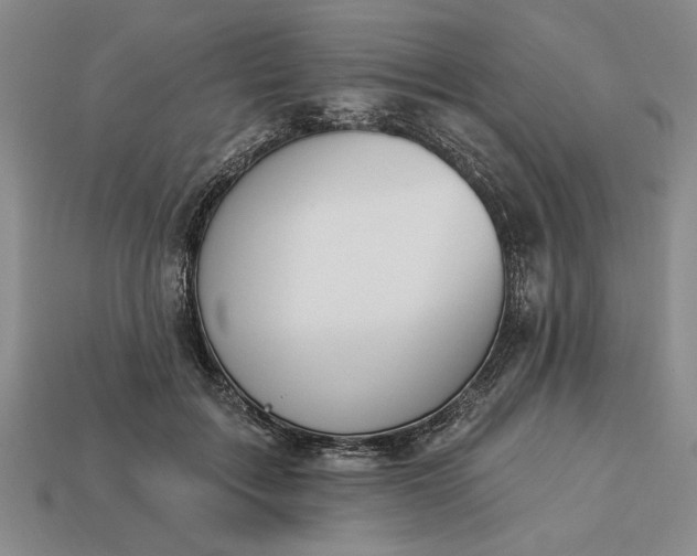 X0000113360603200909291031