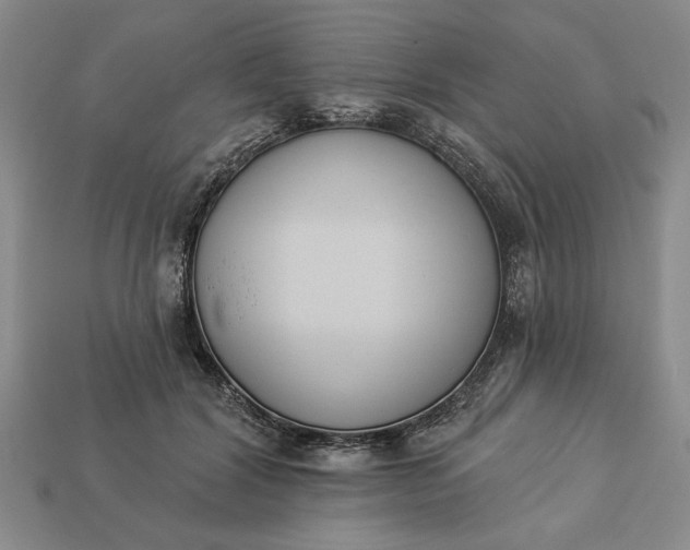 X0000113360604200909291031