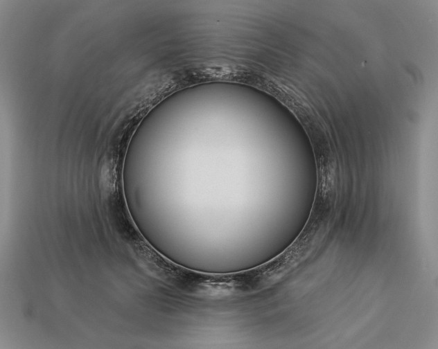 X0000113360606200909291031