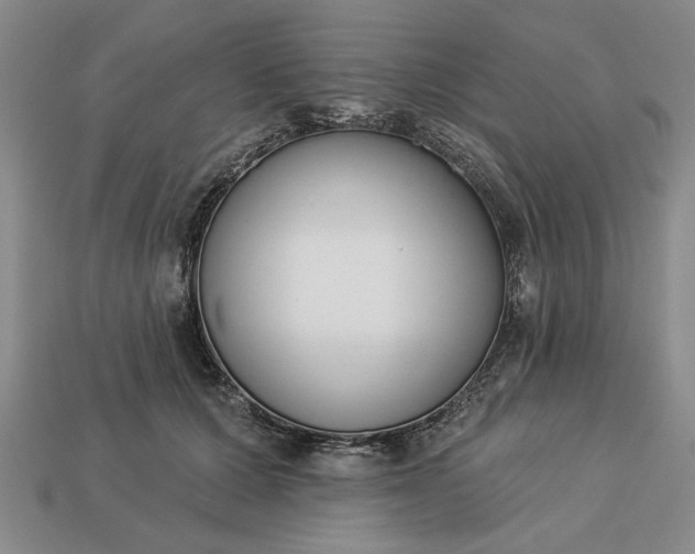 X0000113360607200909291031